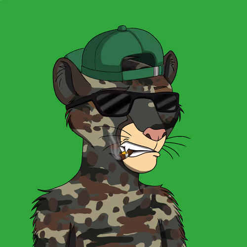 Coalition Crew 2 0