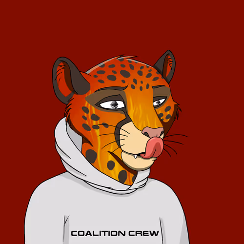 Coalition Crew 2 0