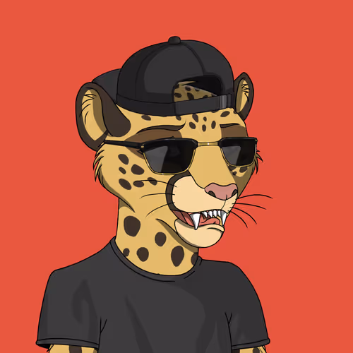 Coalition Crew 2 0