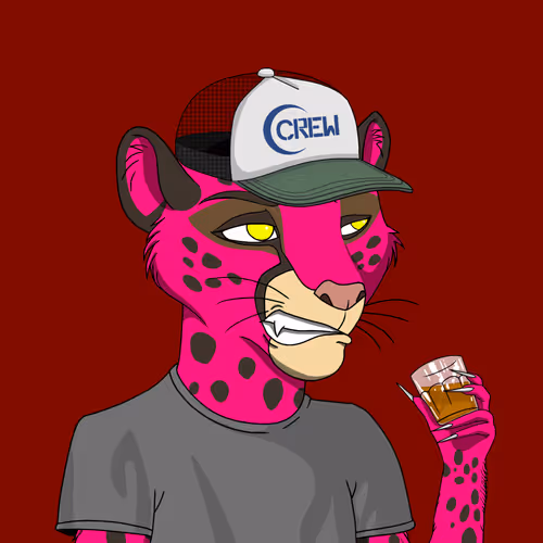 Coalition Crew 2 0