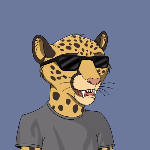 Coalition Crew 2 0