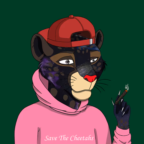 Coalition Crew 2 0