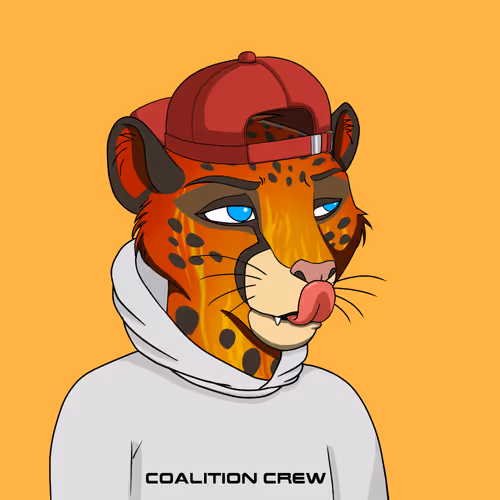 Coalition Crew 2 0