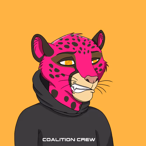 Coalition Crew 2 0