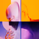 800010023