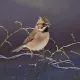 182