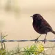 250