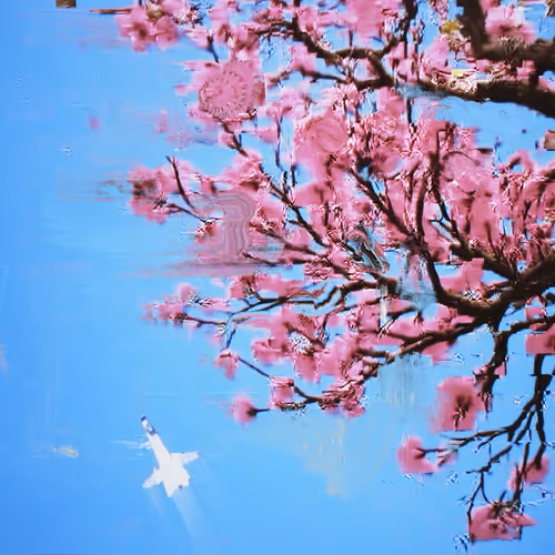 Android Plaza Cherry Blossom