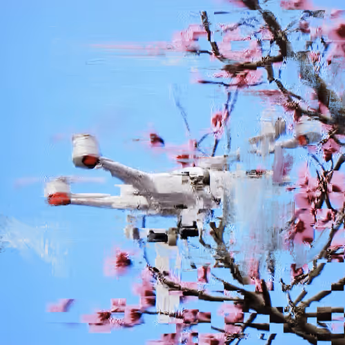 Android Plaza Cherry Blossom