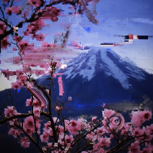 Android Plaza Cherry Blossom
