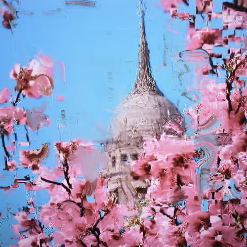 ANDROID PLAZA - Cherry Blossom