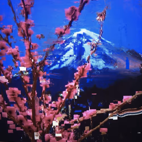 Android Plaza Cherry Blossom