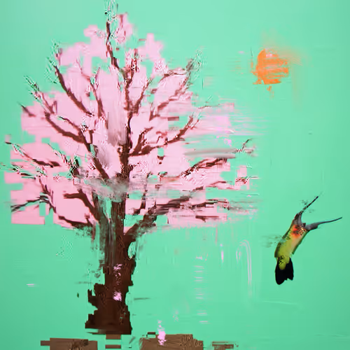 Android Plaza Cherry Blossom