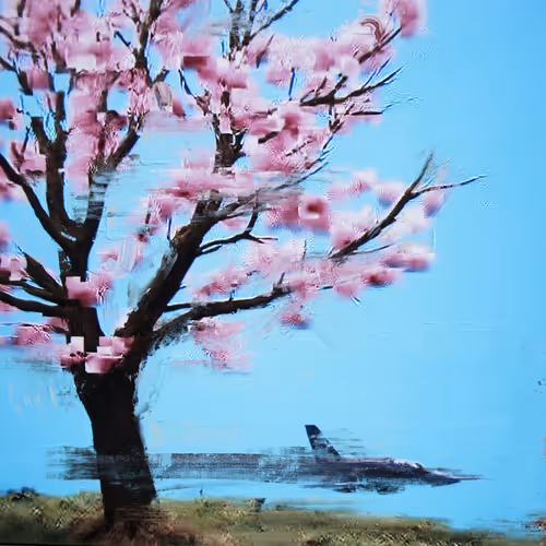 Android Plaza Cherry Blossom
