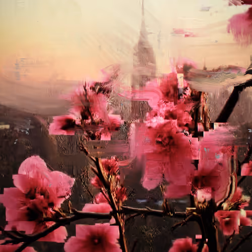 Android Plaza Cherry Blossom