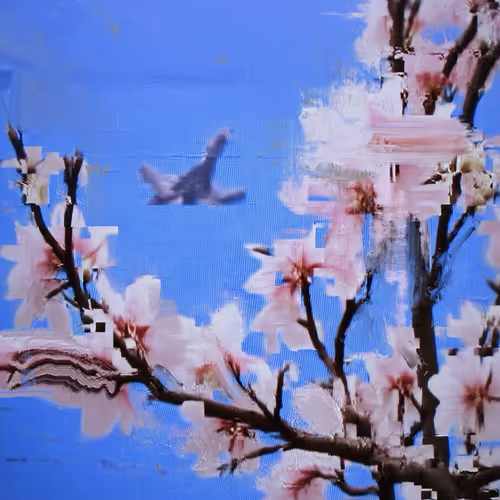 Android Plaza Cherry Blossom