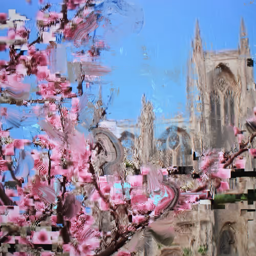 Android Plaza Cherry Blossom
