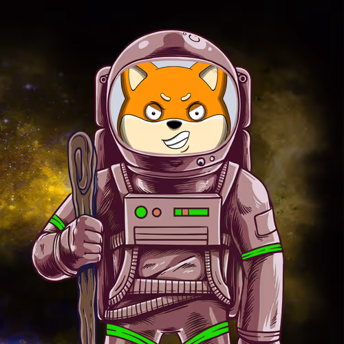 SpaceSHIB #35