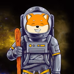 SpaceSHIB #71
