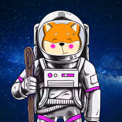 SpaceSHIB #144