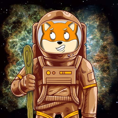 SpaceSHIB #16