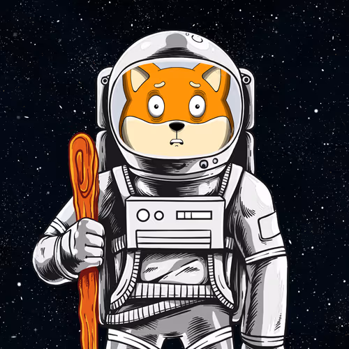SpaceSHIB #57