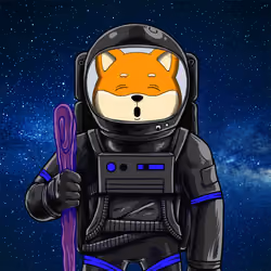SpaceSHIB #145