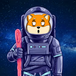 SpaceSHIB #147