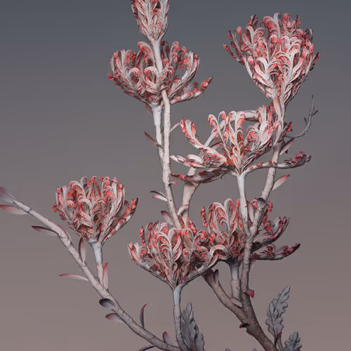 Algorithmic Still Life
