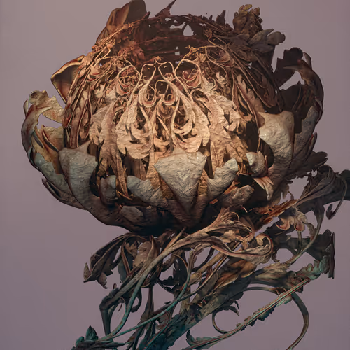 Algorithmic Still Life