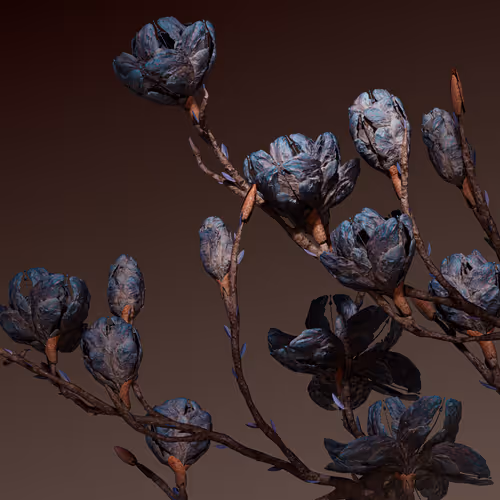Algorithmic Still Life