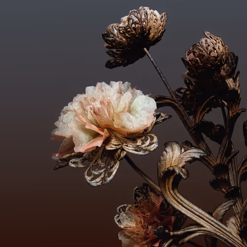 Algorithmic Still life