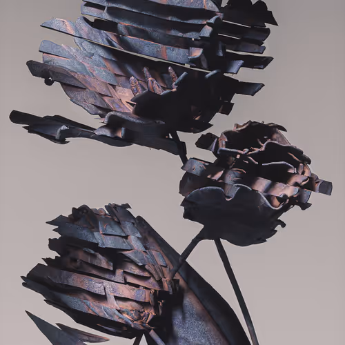 Algorithmic Still Life