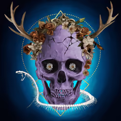 Sacred Skull #1199