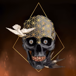 Sacred Skull #2723