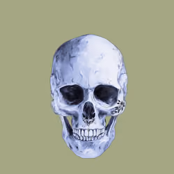 Sacred Skull #3737