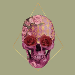 Sacred Skull #6284
