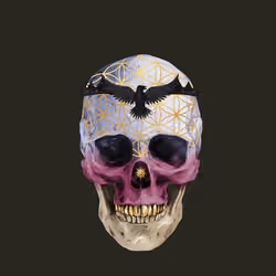 Sacred Skull #3802