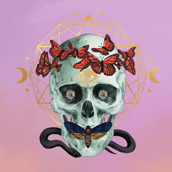 Sacred Skull #3926