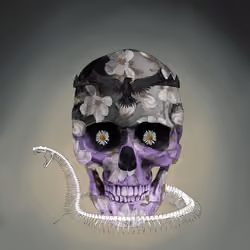 Sacred Skull #4844