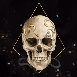 Sacred Skull #2496
