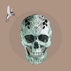 Sacred Skull #6847
