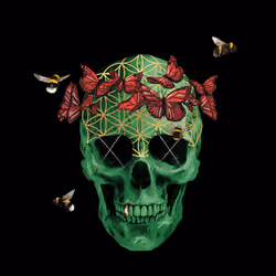 Sacred Skull #5138