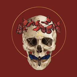 Sacred Skull #828