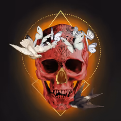 Sacred Skull #384