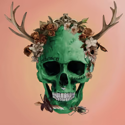 Sacred Skull #3973