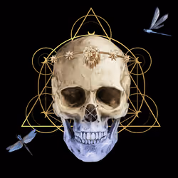 Sacred Skull #7390