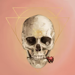 Sacred Skull #212