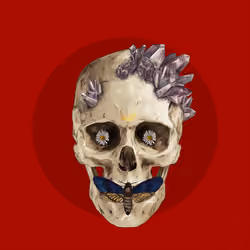 Sacred Skull #4067