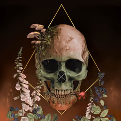 Sacred Skull #3791